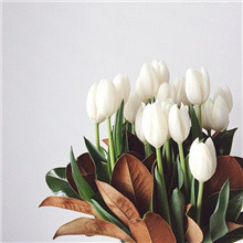 有品生活公众号