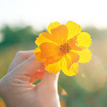 时光漫漫公众号